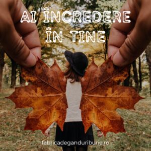 Ai încredere în tine